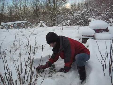 How to Use a Disc Harrow Model 300