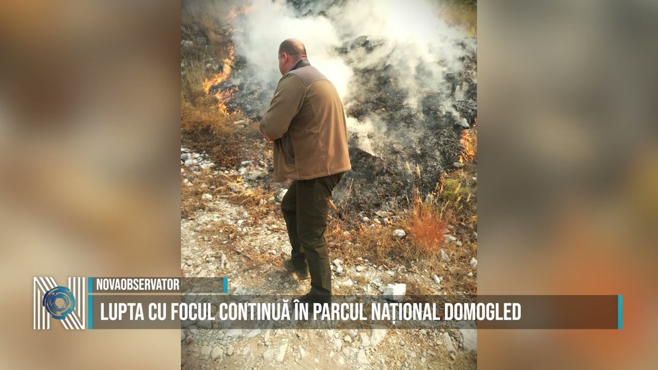 Lupta cu focul continuă în Parcul Național Domogled