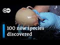 Scientists Discover 100 New Maritime Species Off New Zealand DW News