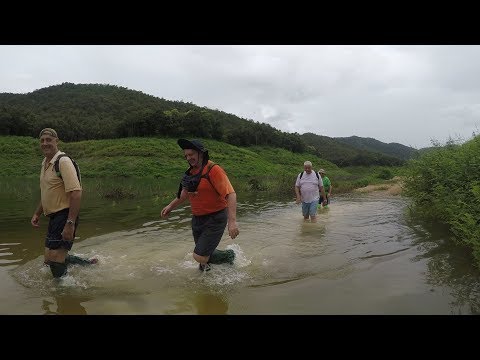 Re match Three Kings Lanna Bush Run