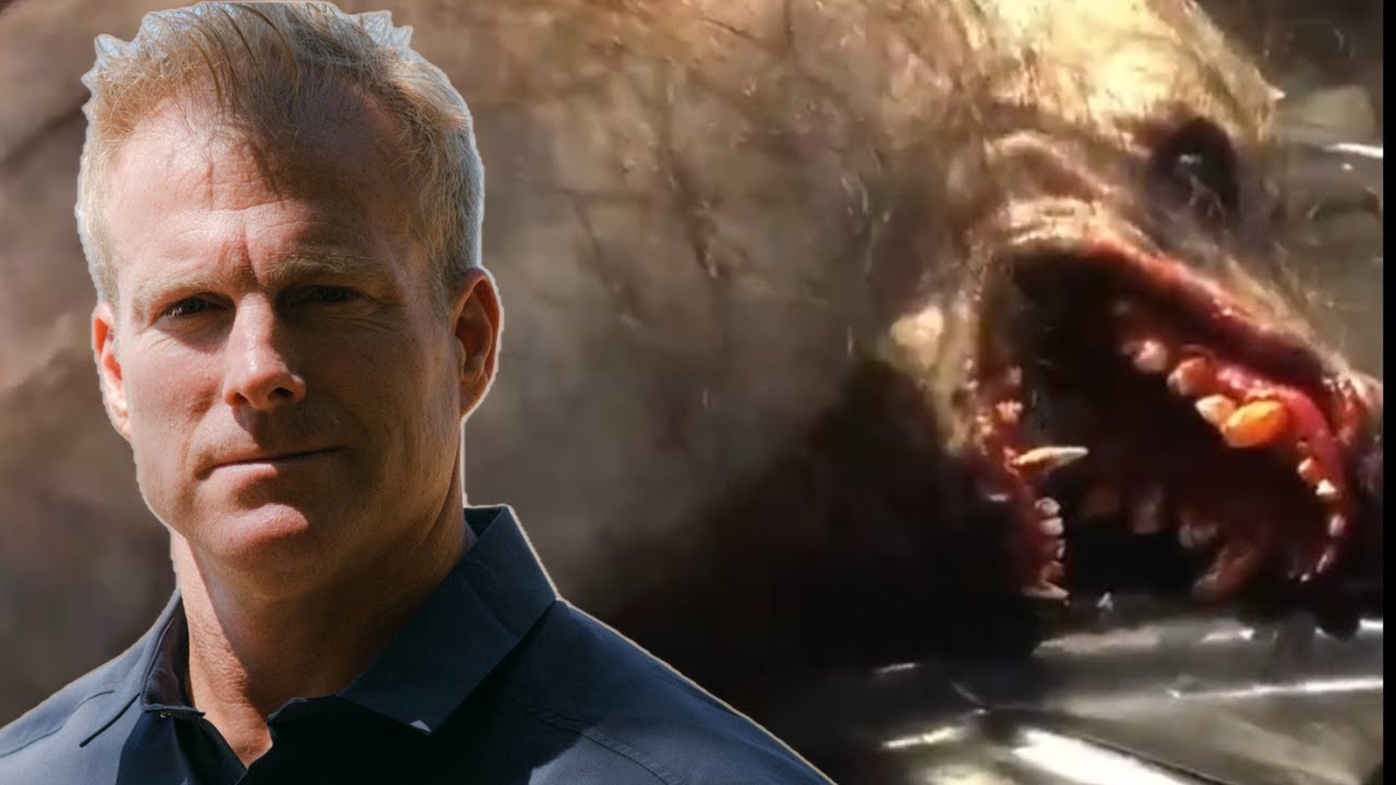 YouTube Thumbnail Downloader FULL HQ IMAGE