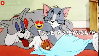 True Friendship 🤩💕 Tom and Jerry Status 😍