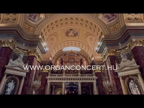 Cathedral Organ Concerts