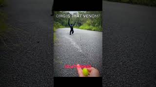 Another skinwalker monkey 💀