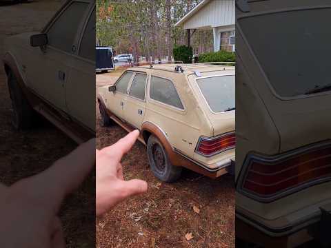 Thumbnail for I Paid $1000 For Three ABANDONED AMC Eagle! 👀 #BarnFind #AbandonedCars #DetailDane #Willitrun by Car