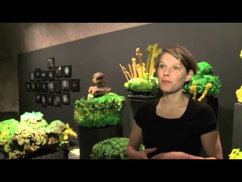 Kartause Ittingen | Gartenträume – Traumgärten