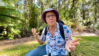 Struggling to find balance | Van Life Australia