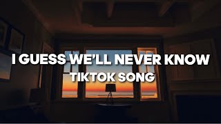 I Guess We&#39;ll Never Know x American Boy (TikTok song)