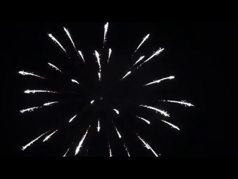 5-0509  5" Red horse tail grass