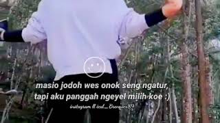 Download lagu story whatsapp keren versi cewek goyang terbaru 2020 mp3