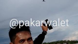 Download lagu New SP LINTASAN MAUT - Suara Panggil Walet LINTASAN MAUT mp3 Download lagu New SP LINTASAN MAUT - Suara Panggil Walet LINTASAN MAUT mp3