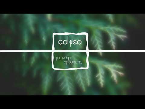 Seeb x Skip Marley - Cruel World | Calipso Official Video