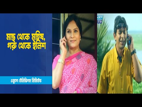 মাছ থেকে মহিষ, গরু থেকে ইলিশ । Drama