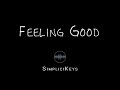 Nina Simone | Michael Buble - Feeling Good (Karaoke Piano)
