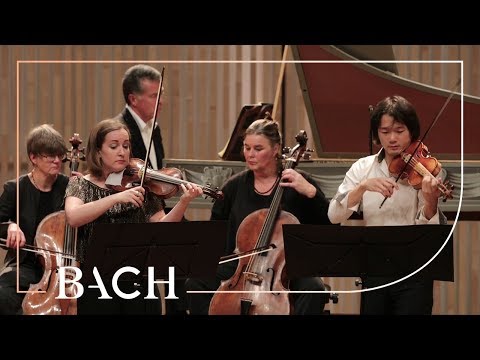 Bach - Concerto for two violins in D minor BWV 1043 - Sato and Deans | Netherlands Bach Society