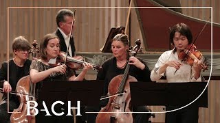 Bach - Concerto for two violins in D minor BWV 1043