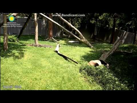 2017.04.30 MOM MEI SELF-ANOINTING