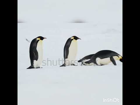 Very romantic moments under sea water and on earth