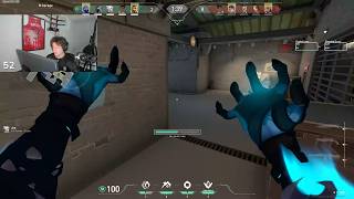 Zander Omen Split RADIANT SMOKES