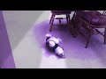 Bobby Breakdancing