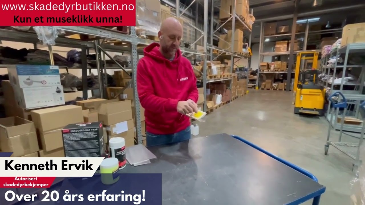 Rottefelle i tre med integrert lokkemiddel - Rentokil