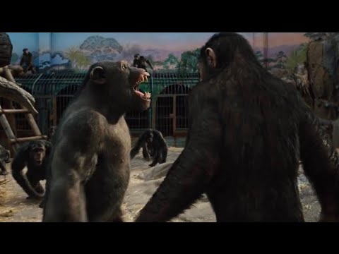 Rise of the Planet of the Apes (2011) - Rocket Bullies and Fights Caesar Movie Clip [HD]