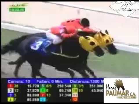 LA RINCONADA 10 CARRERA, DOMINGO 18 DE SEPTIEMBRE DEL 2016