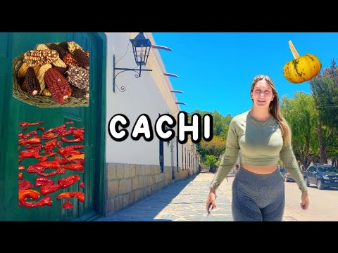 ❌NO VENGAS A CACHI 🌶️ si no queres enamorarte del lugar