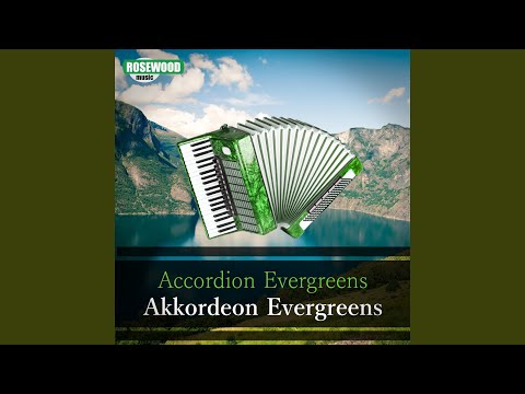 Du Schwarzer Zigeuner