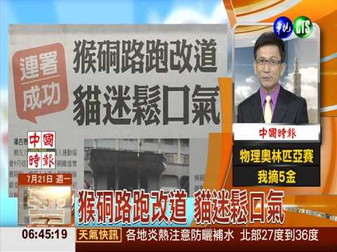 猴硐路跑改道 貓迷鬆口氣