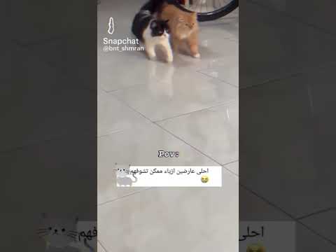 #kpop #kringe #edit #dance #music #funny