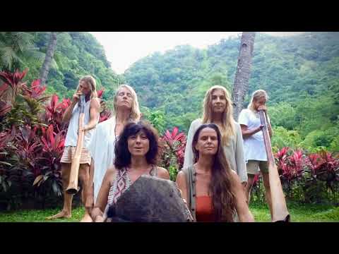 Sink Your Roots Down Deep by Nalini Blossom