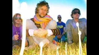 The Flaming Lips- When I'm 64