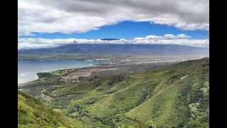 Mystic Island Festival's LUSH TROPICAL LOCATION ...