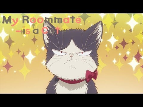 Haru's New Diet | My Roommate is a Cat