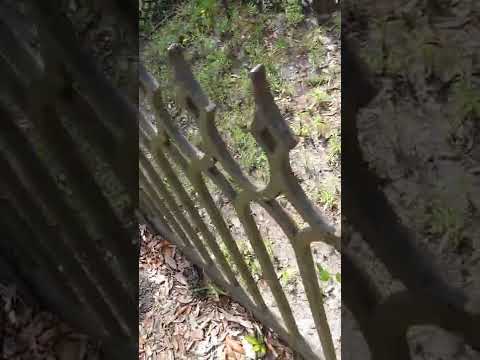 "Paranormal Short Session 18 by Keith Evans, at the Chestnut St. Cemetery!" (8th Ayg. 2022)