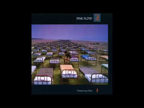 A Momentary Lapse of Reason | Vibepedia