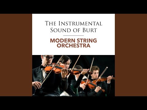 The Look Of Love (Instrumental)