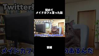 【猫ミーム】大学生が初めてメイドカフェに行った時の話 #猫ミーム #shorts