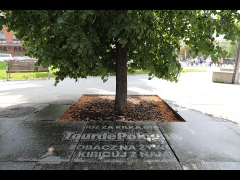 „Zobacz na żywo i kibicuj z nami!” odliczamy dni do startu Tour de Pologne!