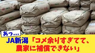 【京都府知事選挙】「隠蔽は許さん」同志社国際の闇を暴く！浜田聡が京都知事選でブチ上げた「補助金ストップ＆立ち入り検査」にネット熱狂【神公約】🔥