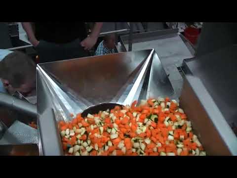 SN FM060 Form fill and seal pouch machine