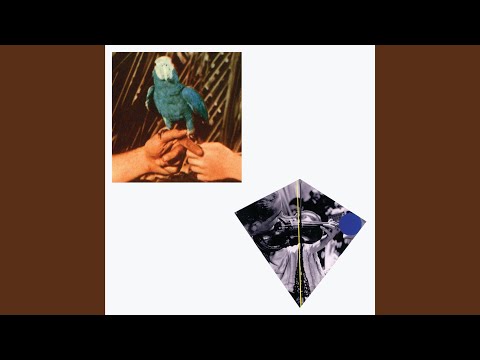 Chemical Switches - Andrew Bird