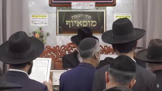הרב בן ציון מוצפי • פרשיות בהר בחקתי • אייר תשפ"ו