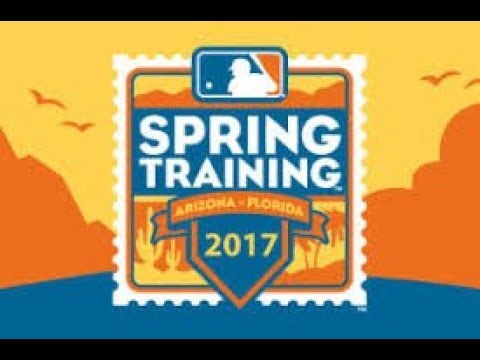 MLB Spring Training Ejections 2017