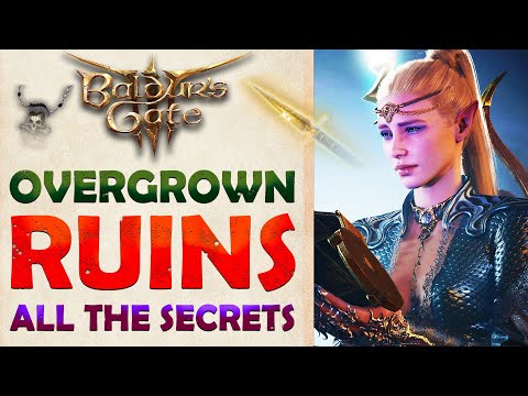 Secrets of Overgrown Ruins: Baldur's Gate 3 ⚔️ Full Location Guide