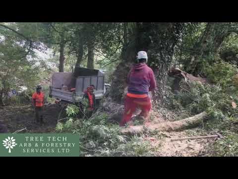 Tree Tech Arb & Forestry Services Ltd video.