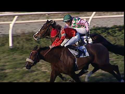 Napoli Galoppo 07/02/2023 - 6ª corsa