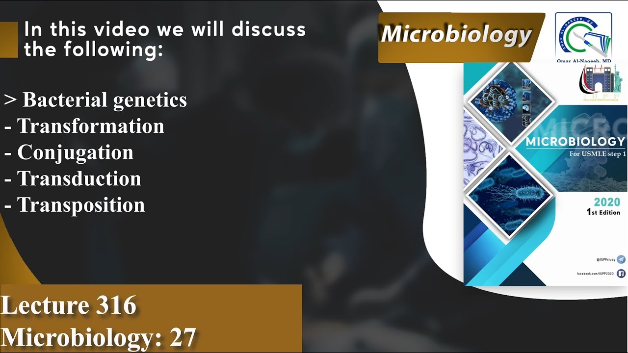 Bacterial genetics