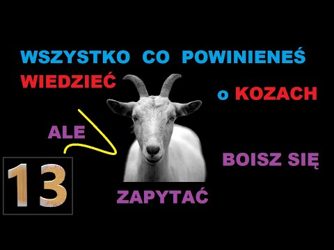 Koza 13 mocnych ciekawostek o kozach 🐐 HD